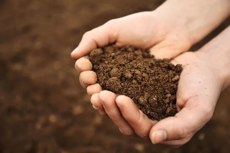 Gravel Delivery Service in Meriden CT for Local Projects
