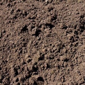 Premium Screened Topsoil
