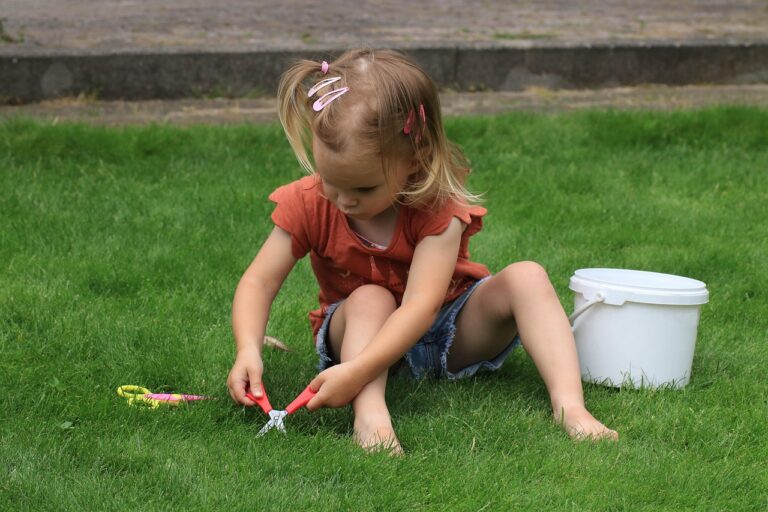 Backyard Play Areas in Apple Valley, MN