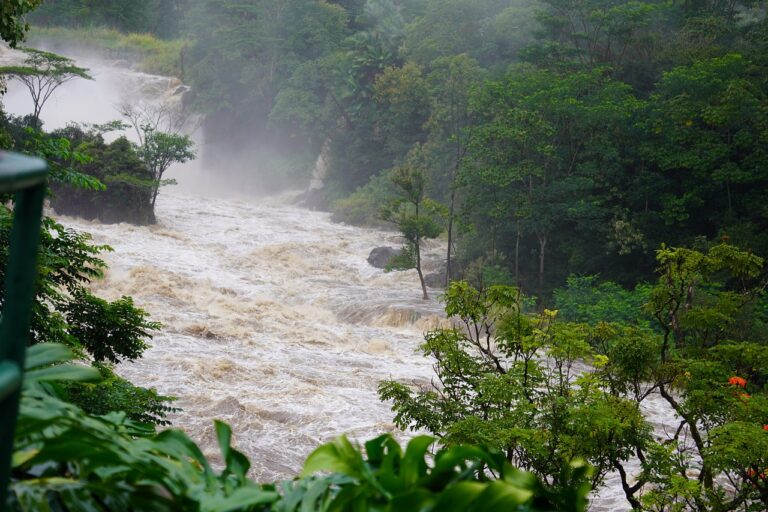 Meramec River Flooding in Eureka, MO: Landscaping That Recovers
