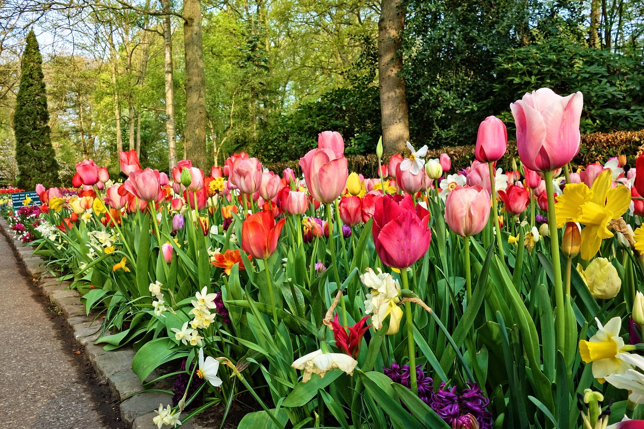 Garden Paths and Borders for Edina, MN Homes