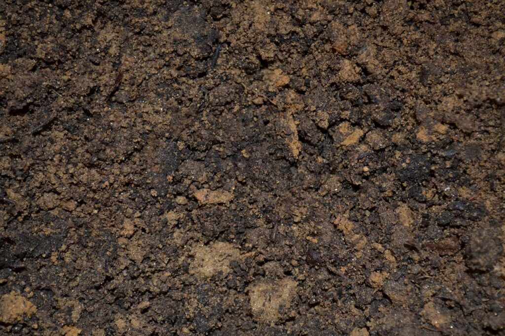 Garden Soil vs Compost for Rocky Beds in Nixa, MO