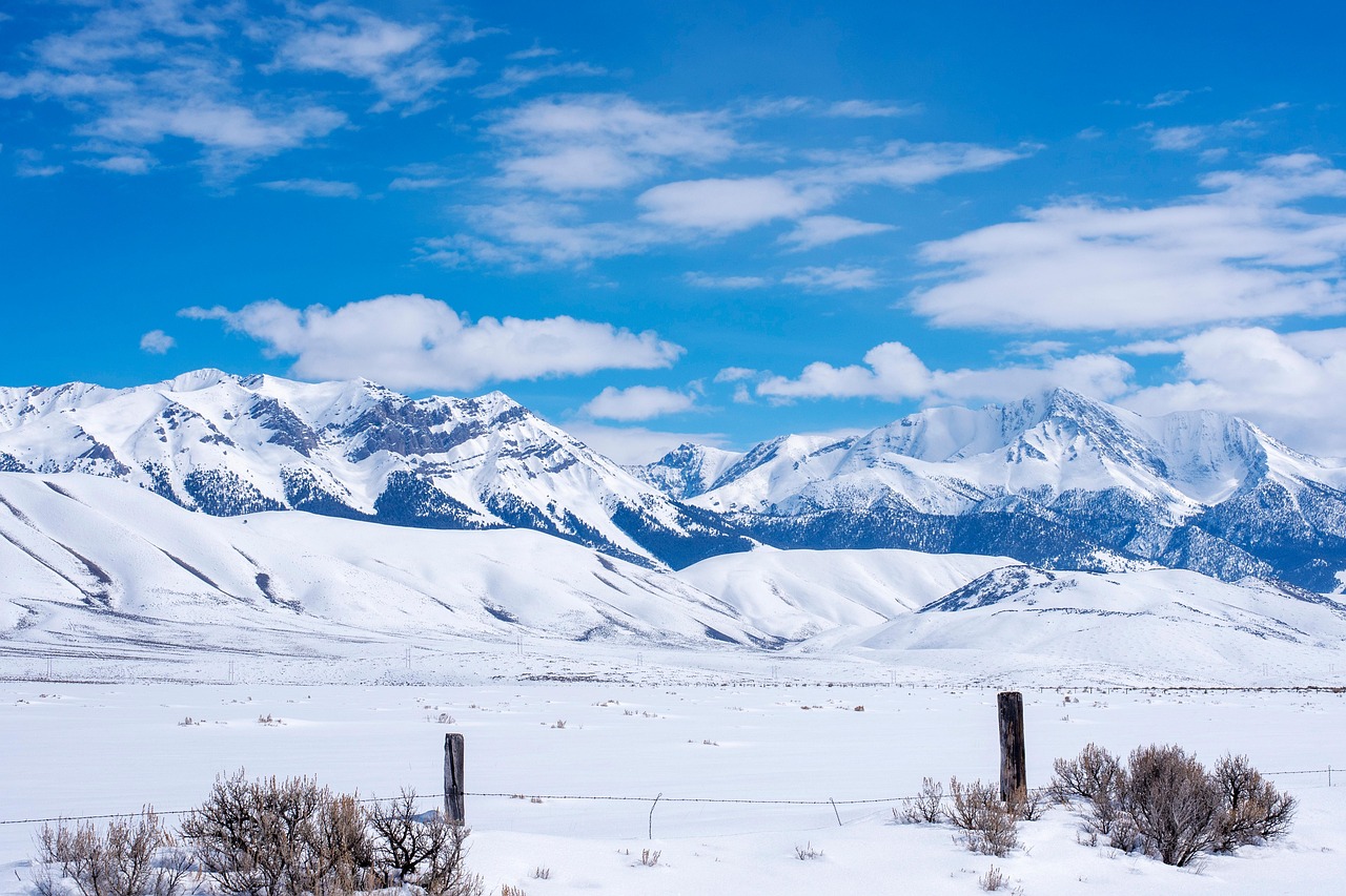Gravel for Idaho Horse Properties: Arenas, Paddocks and Barn Aisles
