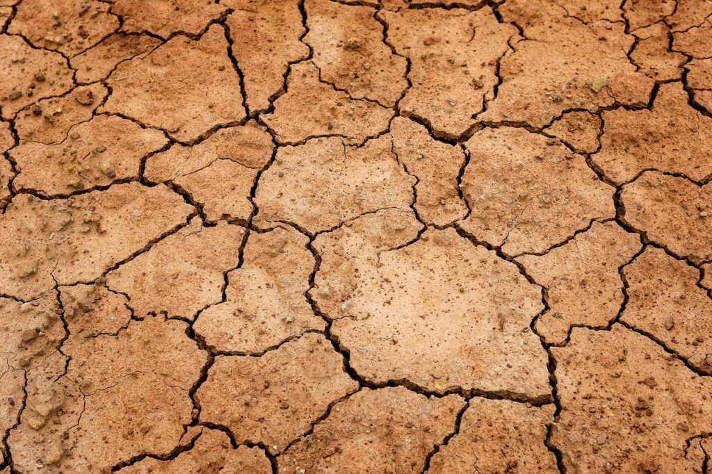 Clay vs Sandy Soil Across Michigan: Choosing Topsoil and Amendments