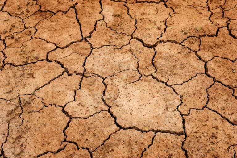Clay vs Sandy Soil Across Michigan: Choosing Topsoil and Amendments