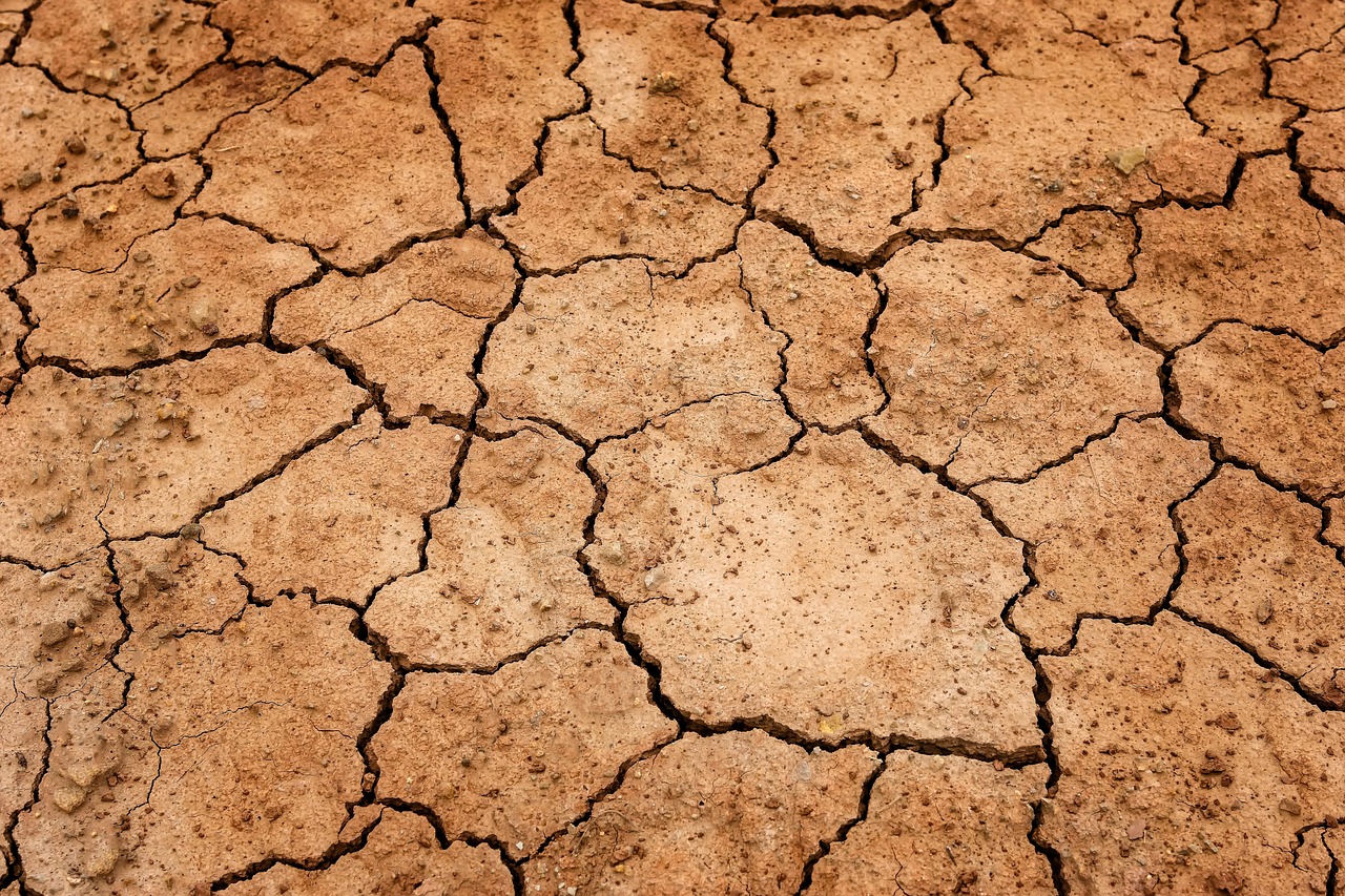 Clay vs Sandy Soil Across Michigan: Choosing Topsoil and Amendments