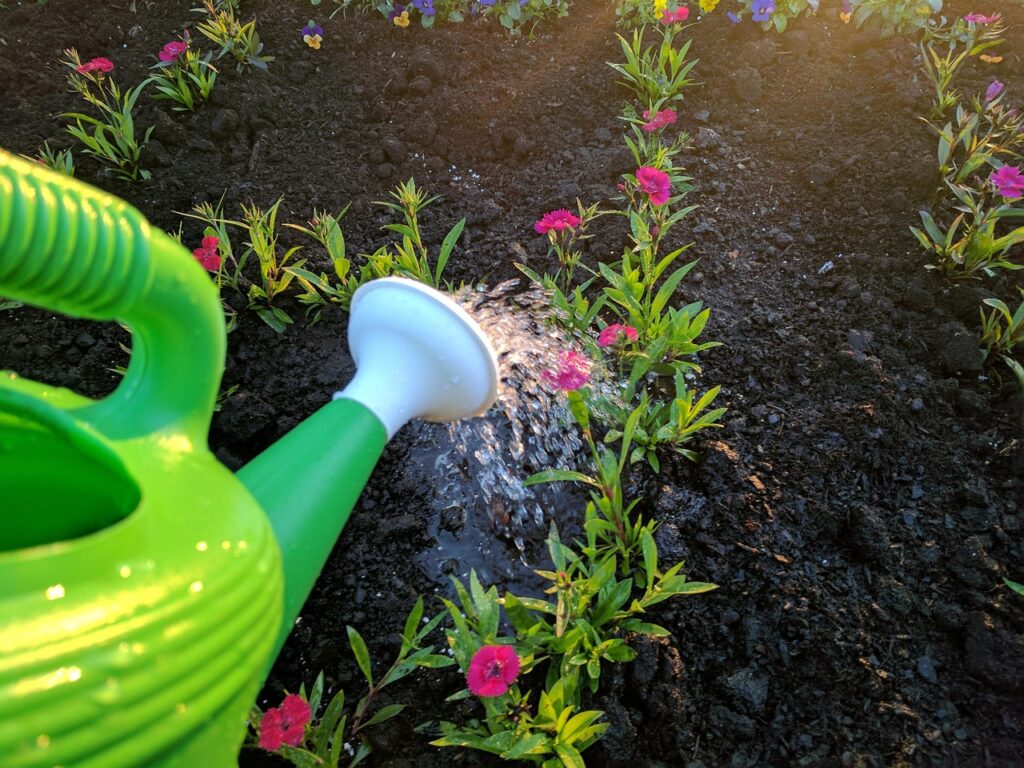 Minnesota Garden Soil Guide: Clay, Sand and What to Add