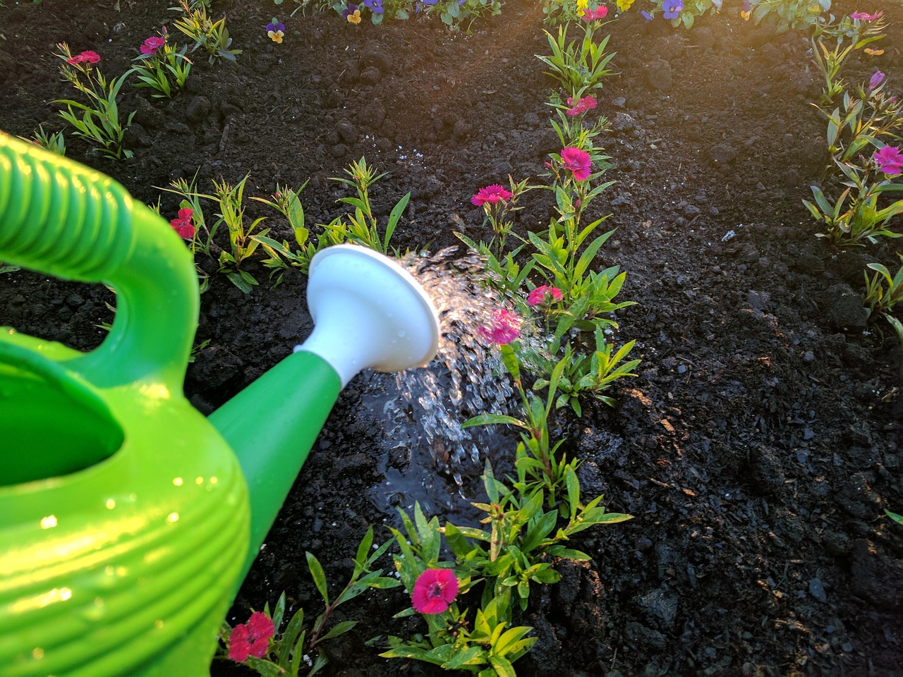 Minnesota Garden Soil Guide: Clay, Sand and What to Add