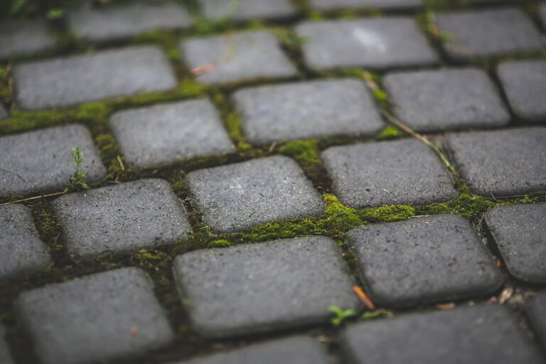 Building a Paver Patio for Minnesota Winters