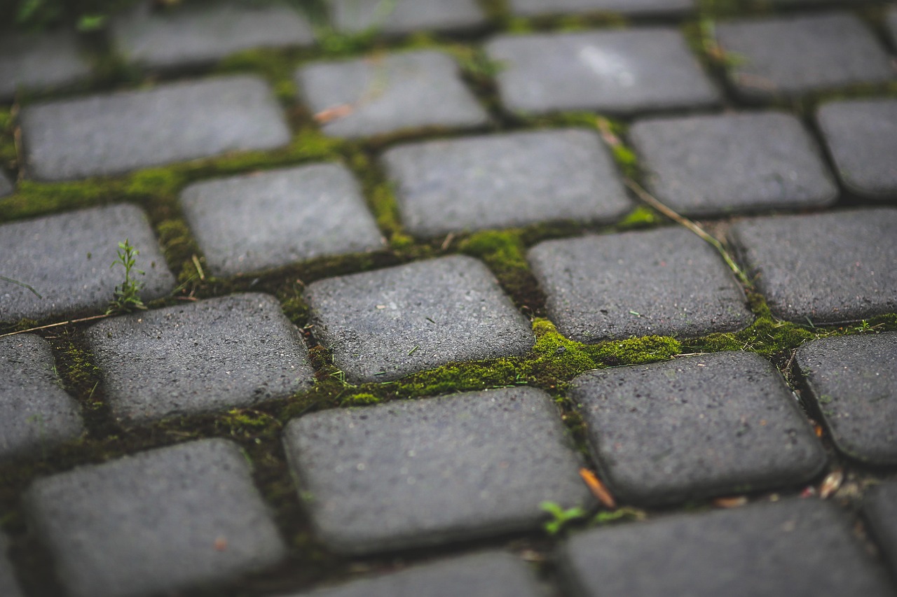 Building a Paver Patio for Minnesota Winters