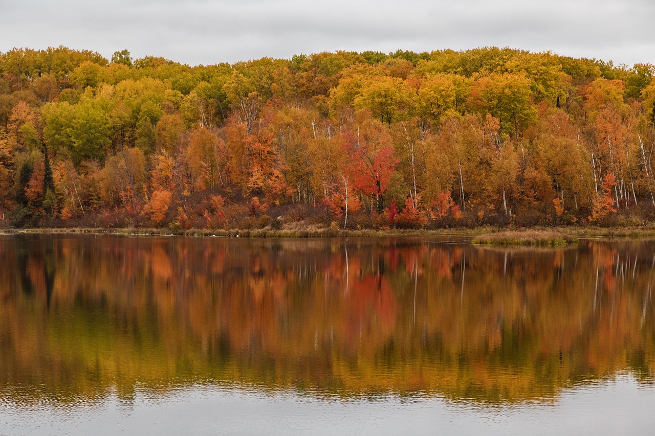 Minnesota Lake Lot Landscaping: Stone That Protects Shorelines