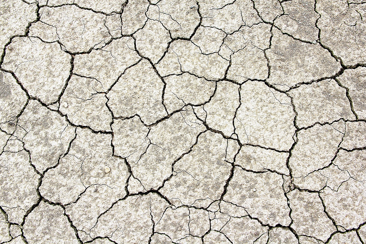 Missouri Clay Soil and Gravel Driveways: Base Layers Explained