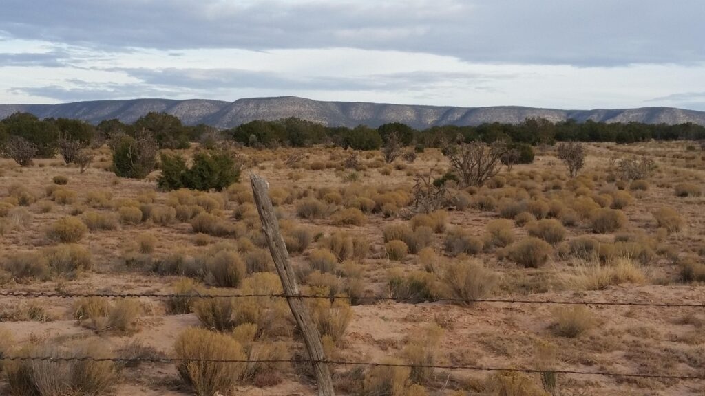 New Mexico Xeriscaping: Rock, Mulch and Soil for High Desert Yards