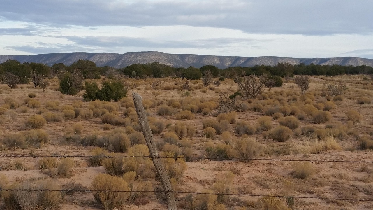 New Mexico Xeriscaping: Rock, Mulch and Soil for High Desert Yards