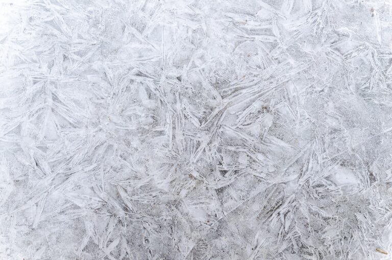 Northern Nevada Freeze-Thaw: Driveways in the High Desert