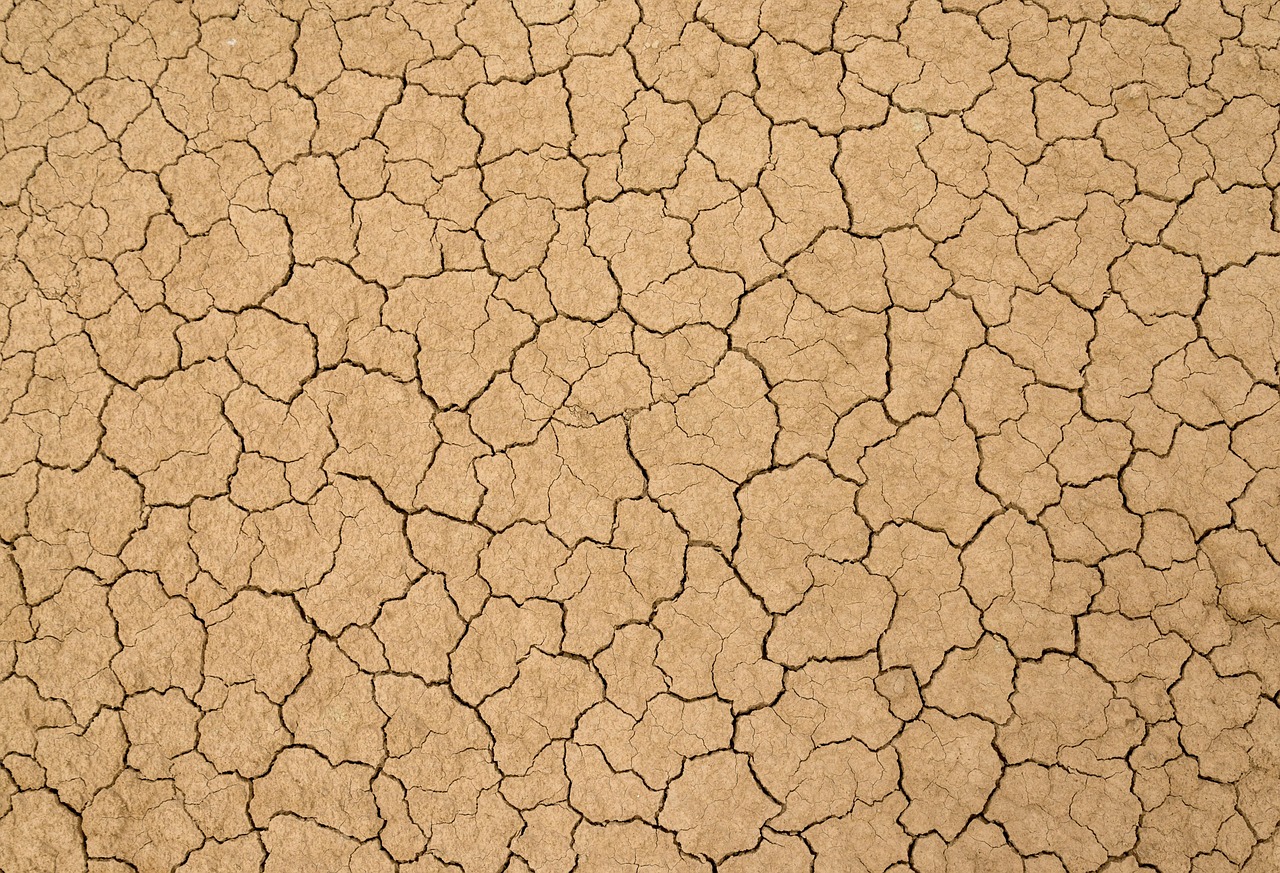Ohio Clay Soil Drainage: French Drains and Dry Wells