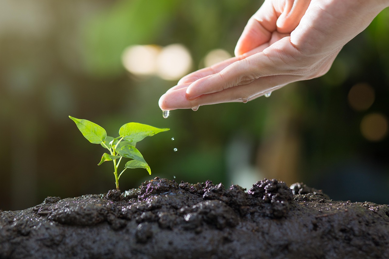 Ohio Garden Soil: Fixing Heavy Clay for Vegetables