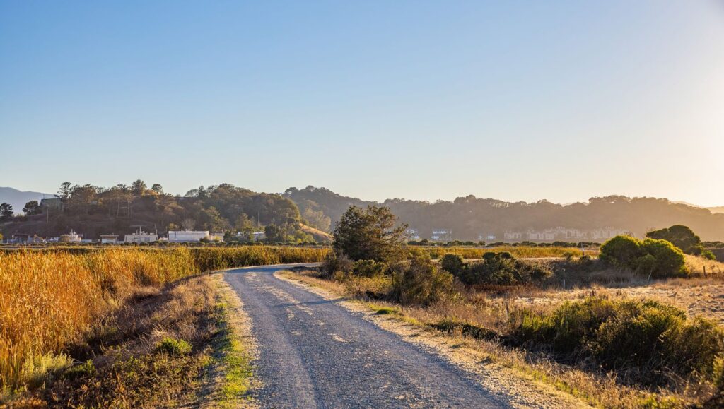 Gravel lane running through open countryside fields