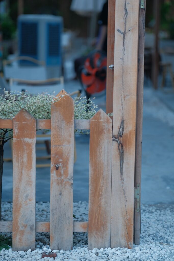 Gravel and plants beside a wooden fence in a garden