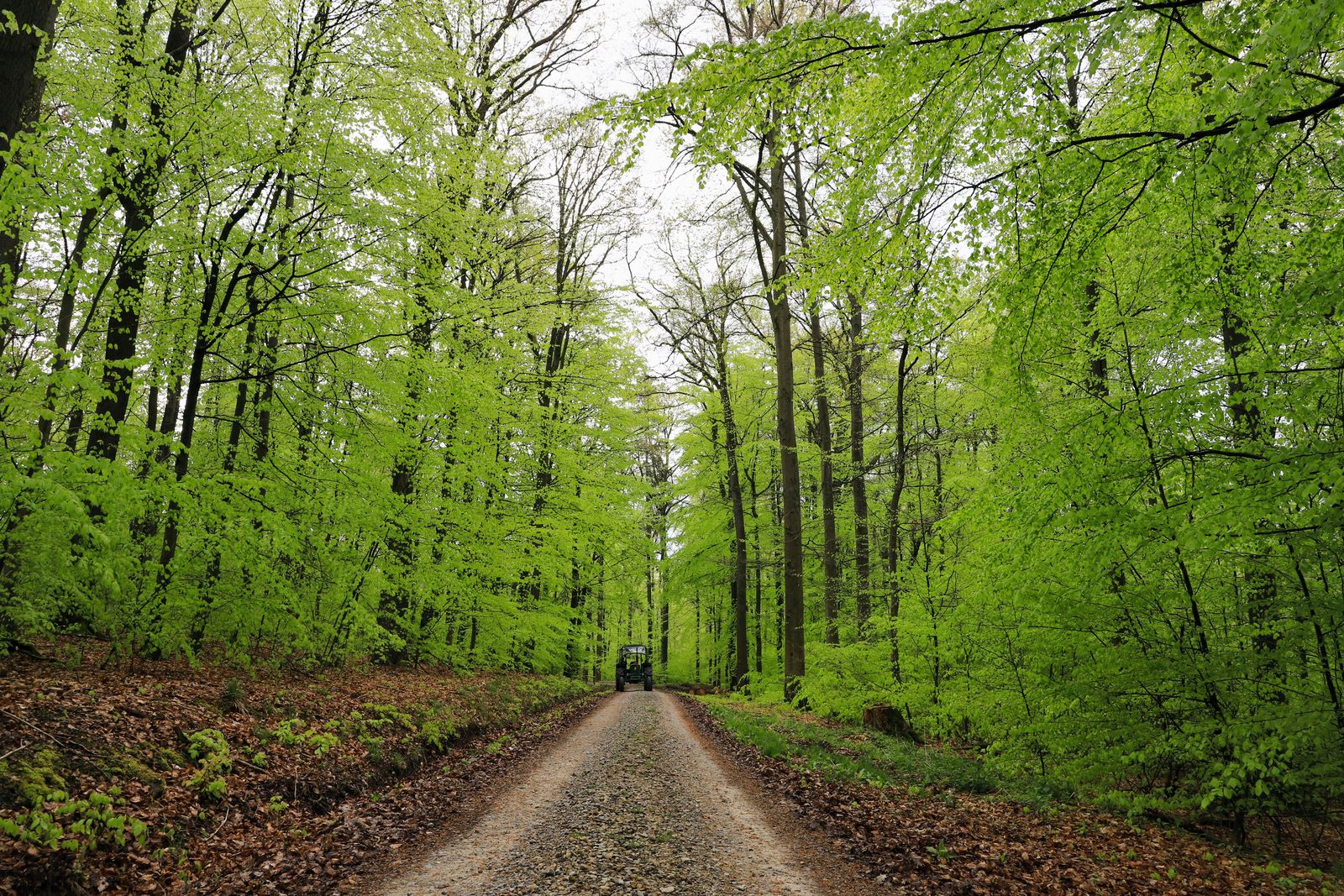 Kansas Ranch and Farm Yard Surfacing: Gravel, Millings or Concrete?
