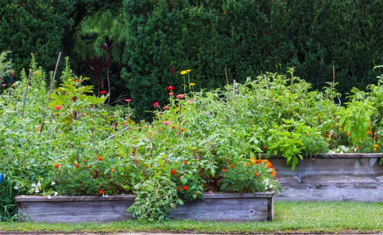Kaw Valley Gardens in Wamego, KS: Soil for Raised Beds
