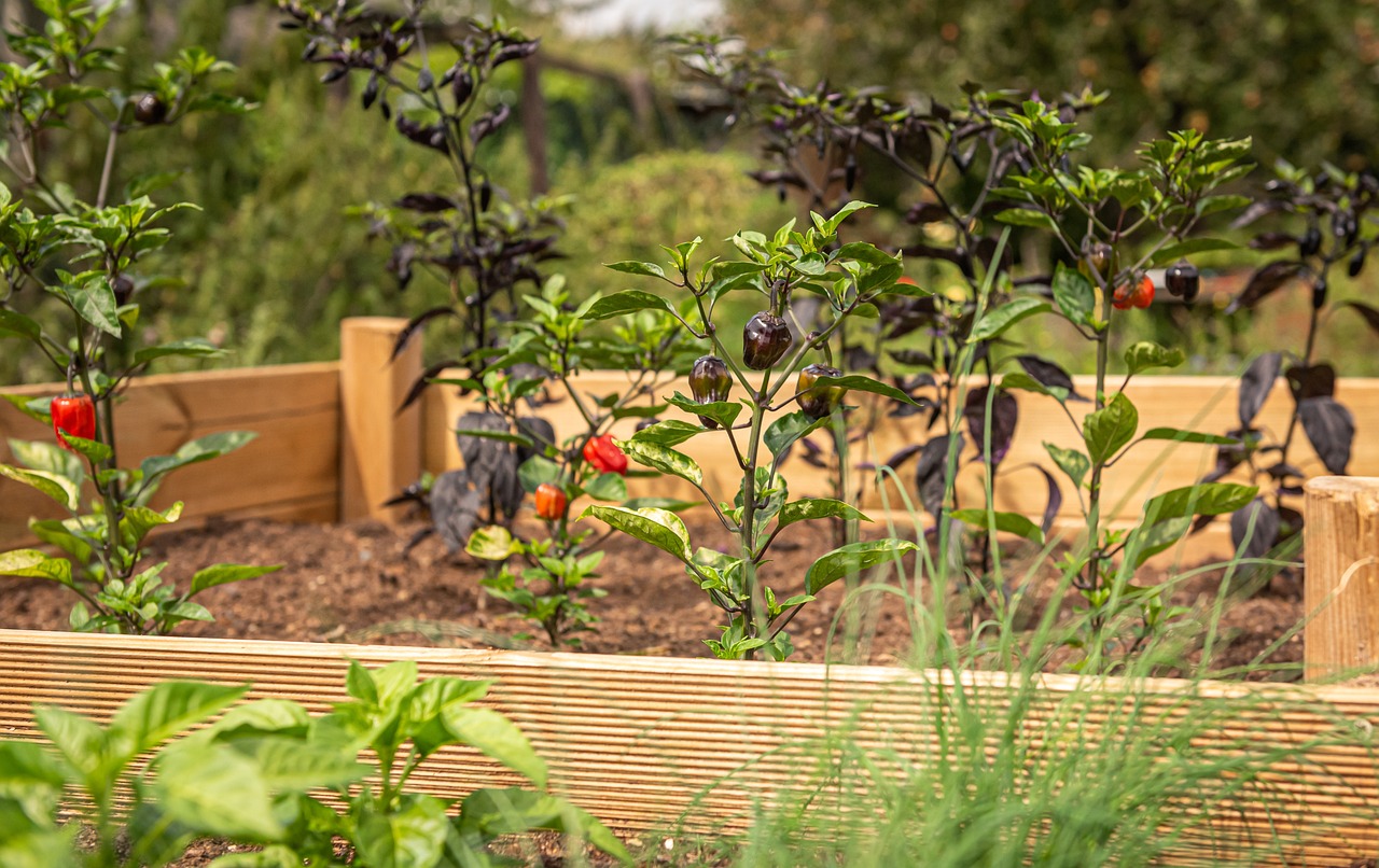 Raised Beds on Loess Soil in Hernando, MS
