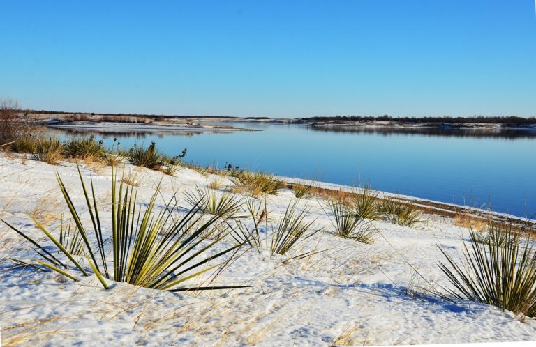 South Dakota Frost and Wind: Building a Gravel Driveway