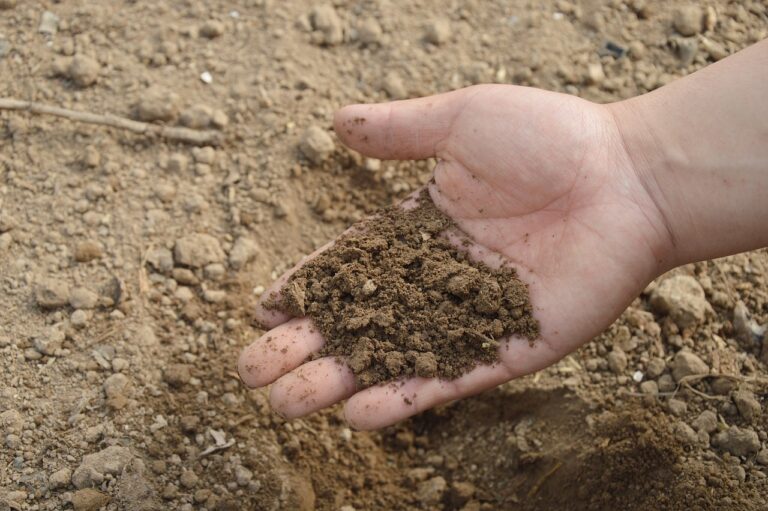 Topsoil vs Garden Soil for Rosemount, MN Lawns and Beds