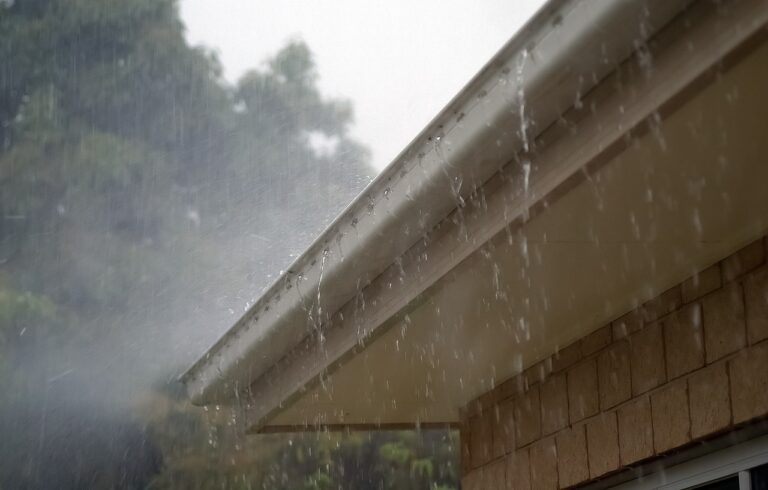Virginia Stormwater: Rain Gardens and Dry Creek Beds