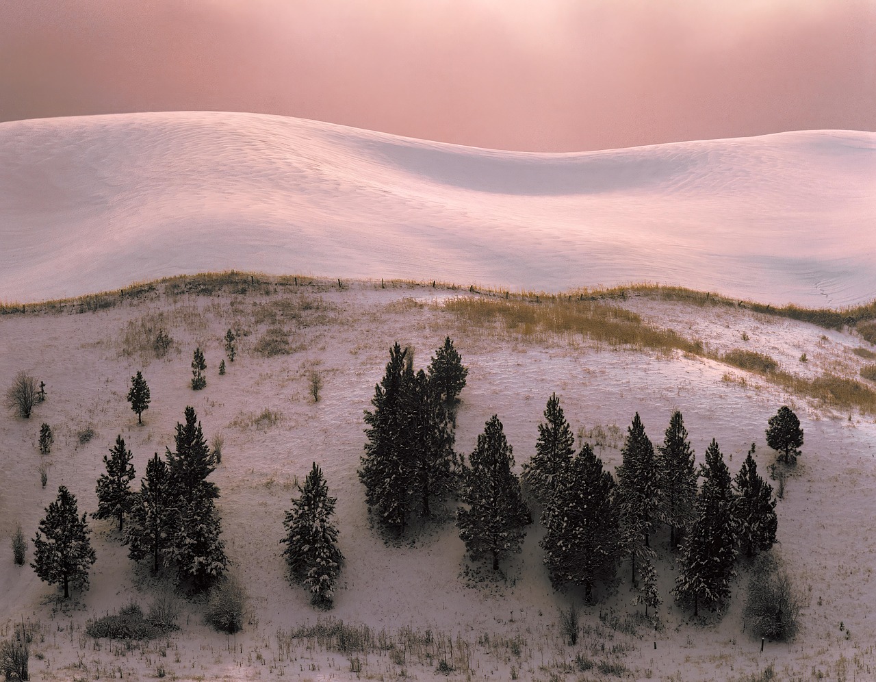 Eastern vs Western Washington Landscaping: Choosing Rock and Soil