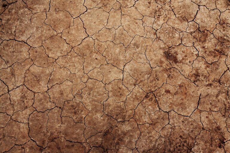 Dealing With Wet Clay Lawns in Gurnee, IL