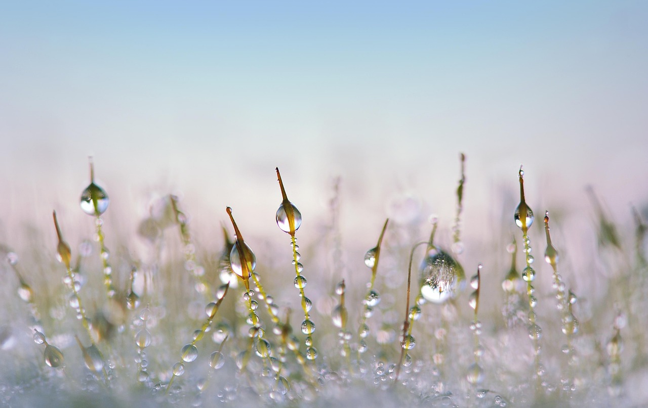 Wisconsin Spring Thaw: Repairing Gravel Driveways