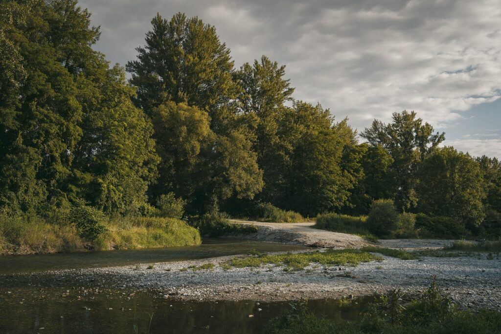 Pea Gravel or River Rock? Water-Wise Yards in Ammon, ID