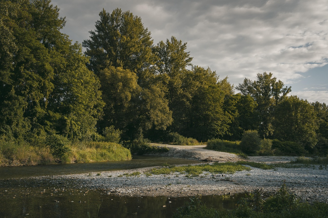 Pea Gravel or River Rock? Water-Wise Yards in Ammon, ID