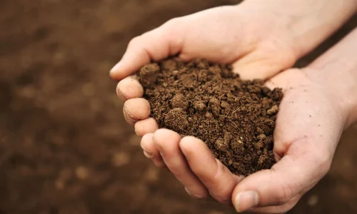 Premium-Screened-Topsoil